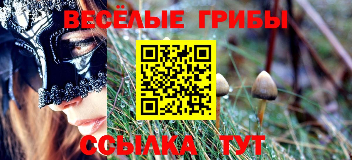 Псилоцибиновые грибы мицелий  Вход с VPN  Галлюциногенные грибы мицелий  Серов 